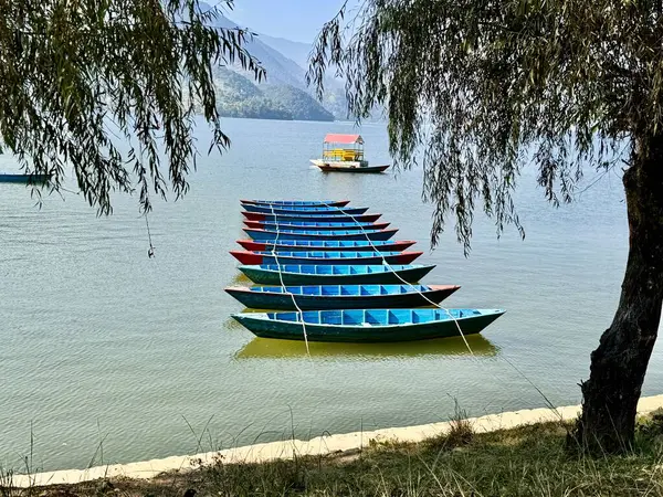Pokhara, Nepal 'deki gölün arka planında renkli tekne ve tepeler var.