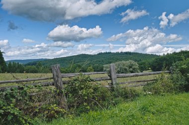 Orman ve çayır. Morawa yürüyüşü. Çek Cumhuriyeti. Dağlar