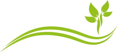 Yapraklar, bitki, organik, sağlık, bahçıvan, naturopat, geçmiş