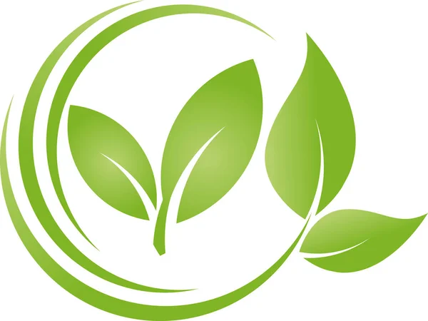 Feuilles Plantes Bio Bien Être Jardinier Naturopathe Fond Logo — Image vectorielle