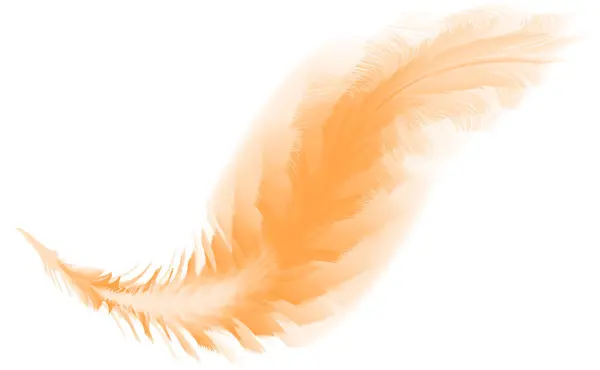Пір Птах Пташине Перо Логотип — стоковий вектор