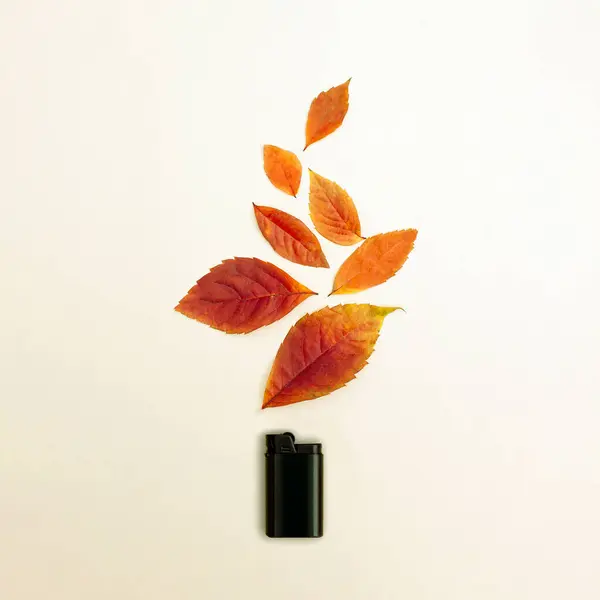 Autumn leaves composition.  Walnut and plane tree leaf background as a symbol of fire flame