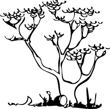 Beyaz arka planda ağaç silueti. Temel yerleşim yerindeki ağacın mimari sembolü. Ağaç gövdesinin basit şehir tasarım logosu. Bitkilerin serbest çizimi baştan savma bir şekilde üstte. Çeşitli ağaçların üst ve ön görünümü.