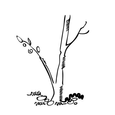 Beyaz arka planda ağaç silueti. Temel yerleşim yerindeki ağacın mimari sembolü. Ağaç gövdesinin basit şehir tasarım logosu. Bitkilerin serbest çizimi baştan savma bir şekilde üstte. Çeşitli ağaçların üst ve ön görünümü.