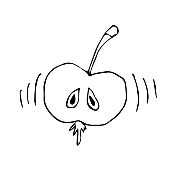 Elle çizilmiş siyah ve beyaz karalama elma vektör kompozisyonu çizimleri beyaz arkaplanda. Yazdırma ve tekstil kartpostalları için.