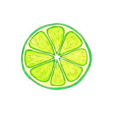 Beyaz arkaplanda izole edilmiş yeşil limon dilimi suluboya çizimi
