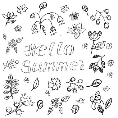 El çizimi siyah-beyaz karalamalar, çiçek ve bitki tasarımı elementleri. Beyaz bir arka planda 