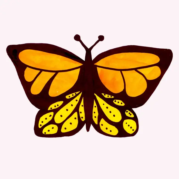 Siyah ve sarı kelebek beyaz arka planda izole