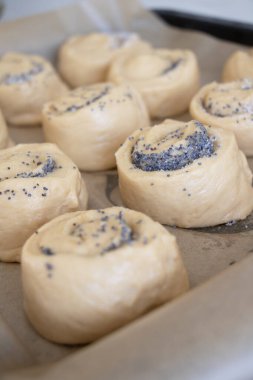 Haşhaş tohumlu ev yapımı salyangoz çörekleri. Ev yapımı kokulu hamur işleri, dolgulu salyangoz çöreği, ön manzara, ev yapımı konforlu pişmiş yiyecekler.