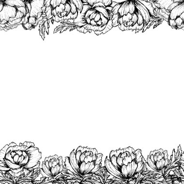 Şakayık çiçekleri, düğün davetiyelerinin tekstil ürünleri tasarımı için beyaz bir zemin üzerinde sınır fiyaskosunun elle çizilmiş vektör illüstrasyonuyla bırakır.