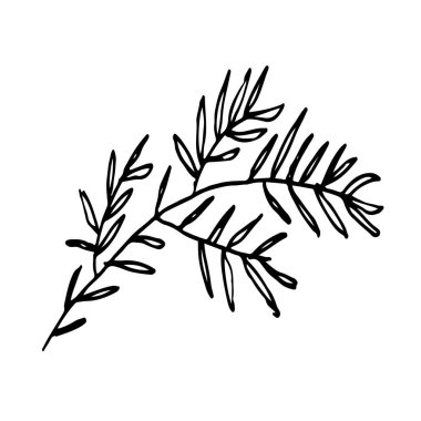 Minimalist siyah çizgi sanat tarzında bir botanik dalın el çizimi vektör çizimi. organik çizim hem dijital hem de yazdırma biçimlerinde dekoratif bir element olarak iyi çalışır..
