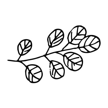 Yaprakları siyah çizgili basit bir el çizimi sanat tarzı. Botanik tasarım, logo, çıkartma, doğa temalı dekor, ambalaj ve İskandinav esinlenilmiş çizimler için mükemmel..