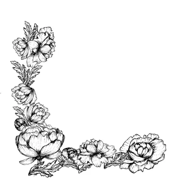 Şakayık yaprakları elle çizilmiş çiçek bırakır. Vektör illüstrasyon köşesi çerçevesi Dudl, düğün davetiyesi paketlerinin tekstil kartlarının tasarımı için beyaz arkaplan üzerine kuruludur.