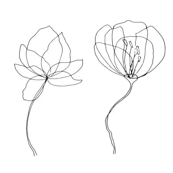 Şeffaf taç yaprakları olan ve tekstil tipografi kartpostalı tasarımı için beyaz arkaplan üzerine izole edilmiş siyah ve beyaz vektör illüstrasyon seti bırakan çiçek