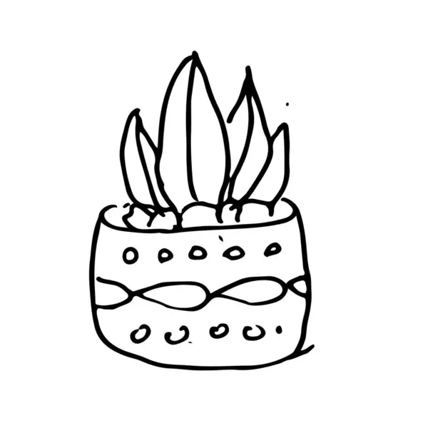 Dekoratif bir saksının içindeki sulu bir bitkinin el çizimi. Hygge temaları, boyama kitapları ve ekolojik yaşam tarzı için karalama stili vektör. baskılar, çıkartmalar, planlayıcılar ve sosyal medya için.