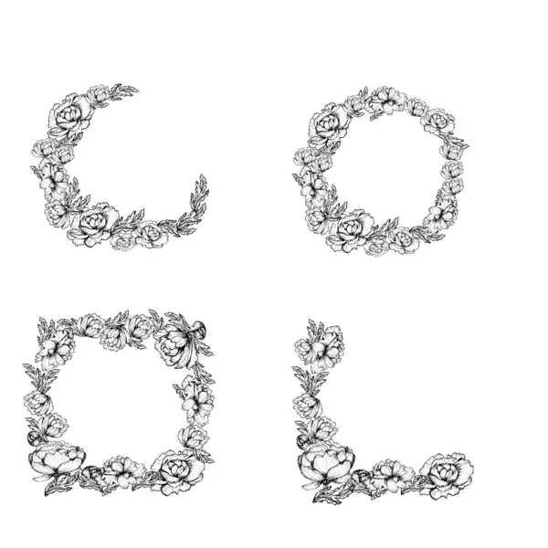 Dudl çerçevelerinin el yazısı ile boyanmış şakayık yaprakları düğün davetiyesi paketlerinin tekstil tasarımı için beyaz bir zemin üzerinde Vektör çizimleri