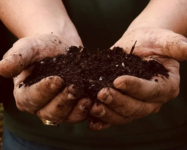 Ellerin toprakla kaplı. Çalışan bir çiftçinin kirli elleri, sıkı çalışma konsepti.. 