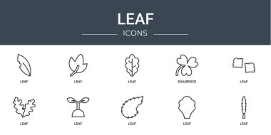 Rapor için yaprak, yaprak, yonca, vektör simgeleri, sunum, diyagram, web tasarımı, mobil uygulama gibi 10 ana hatlı web yaprağı simgesi kümesi