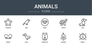 Deniz yıldızı, kuş, koyun, kaplumbağa, fare, ördek vektör simgeleri, rapor, sunum, diyagram, web tasarımı, mobil uygulama gibi 10 ana hatlı web hayvan simgesi kümesi