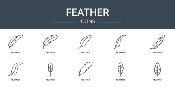 Rapor için tüy, tüy, vektör simgeleri, sunum, diyagram, web tasarımı, mobil uygulama gibi 10 ana hatlı web tüy simgesi seti