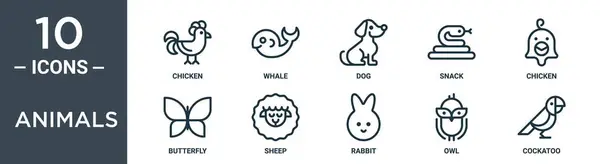 Hayvan ana hatları simge seti ince çizgi tavuk, balina, köpek, abur cubur, tavuk, kelebek, rapor için koyun simgeleri, sunum, diyagram, web tasarımı içerir