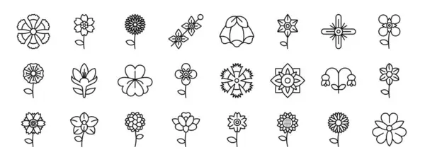 stock vector set of 24 outline web flowers icons such as fringed dianthus, alpine forget me not, chrysanthemum, delphinium, pea, gladiolus, garlic mustard vector icons for report, presentation, diagram, web