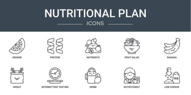 Rapor, sunum, diyagram, web tasarımı, mobil tasarım, portakal, protein, besin, meyve salatası, muz, buğday, aralıklı oruç vektör simgeleri gibi 10 ana hatlı beslenme planı simgesi seti