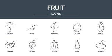Rapor için mantar, biber, brokoli, portakal, patates, muz, üzüm vektör simgeleri, sunum, diyagram, web tasarımı, mobil uygulama gibi 10 ana hatlı web meyve simgesi kümesi