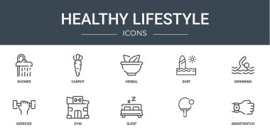 Duş, havuç, bitkisel, sörf, yüzme, egzersiz, rapor için spor salonu vektör simgeleri, sunum, diyagram, web tasarımı, mobil uygulama gibi 10 ana hatlı sağlıklı yaşam ikonu seti