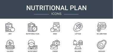 diyet, beslenme planı, beyaz, marul, abur cubur yok, kalori yok, rapor, sunum, diyagram, web tasarımı, mobil tasarım gibi 10 ana hatlı beslenme planı ikonu seti