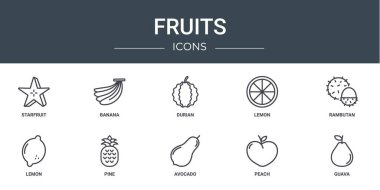 Rapor için yıldız meyvesi, muz, durian, limon, rambutan, limon, çam vektör simgeleri, sunum, diyagram, web tasarımı, mobil uygulama gibi 10 ana hatlı web meyve simgesi seti