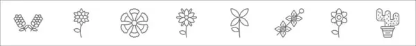 花ラインアイコンの概要セット ラベンダー タイガーリリー フライドダイアントス ボラージュ ブルーガーディア デルフィニア イチゴの花 カクタスなどの線形ベクターアイコン — ストックベクタ