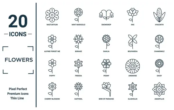 Цветы Линейный Набор Значков Включает Себя Тонкую Строку Настурция Забывай — стоковый вектор