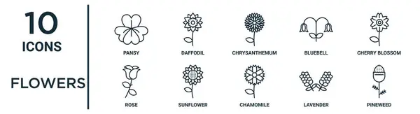 Jeu Icônes Contour Fleurs Telles Que Pansy Ligne Mince Chrysanthème — Image vectorielle