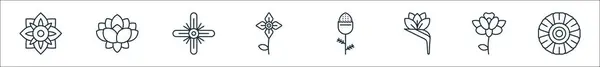 花ラインアイコンの概要セット アマリリス 蓮の花 ニンニクのマスタード アルグラ パインウィード 楽園の鳥 アイリス アネモンなどの線形ベクターアイコン — ストックベクタ