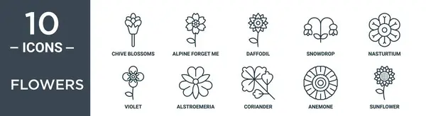 花のアウトラインアイコンセットは薄いラインのチェイブの花が含まれています アルペンは私を忘れません ダフディル 雪の滴 厄介なロチウム ヴァイオレット レポート プレゼンテーション Webデザインのためのアルストロメリアのアイコン — ストックベクタ
