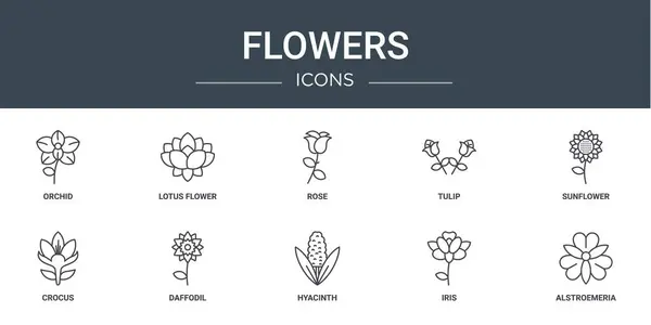 Conjunto Contorno Web Flores Iconos Como Orquídea Flor Loto Rosa — Vector de stock