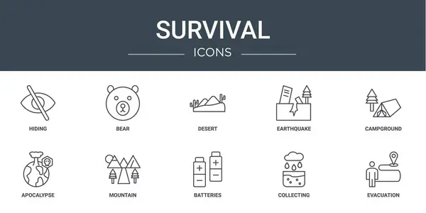 Σύνολο Εικονίδια Περίγραμμα Web Επιβίωσης Όπως Απόκρυψη Αρκούδα Έρημος Σεισμός — Διανυσματικό Αρχείο