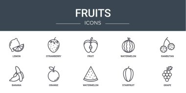 Rapor için limon, çilek, meyve, karpuz, rambutan, muz, turuncu vektör simgeleri, sunum, diyagram, web tasarımı, mobil uygulama gibi 10 ana hatlı web meyve simgesi seti