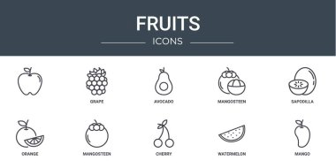 Rapor için, üzüm, avokado, mangosteen, sapodilla, turuncu, mangosteen vektör simgeleri, sunum, diyagram, web tasarımı, mobil uygulama gibi 10 ana hatlı meyve ikonu seti