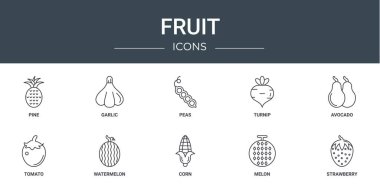 Rapor için çam, sarımsak, bezelye, şalgam, avokado, domates, karpuz vektör simgeleri, sunum, diyagram, web tasarımı, mobil uygulama gibi 10 ana hatlı meyve ikonu seti