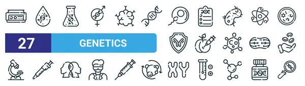 Santrifüj, kan, matara, rapor, gmo, pipette, kromozom, web tasarımı için araştırma vektörü ince çizgi simgeleri, mobil uygulama gibi 27 ana hatlı web genetik simgesi seti.
