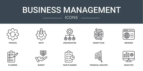 Set Outline Web Business Management Icons Process Input Organization Money — Stock Vector