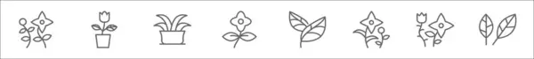 Набор Иконок Линии Завода Линейные Векторные Иконки Такие Цветы Растения — стоковый вектор