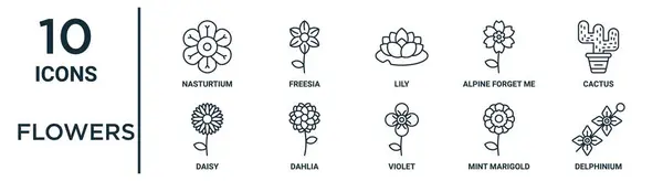 Jeu Icônes Contour Fleurs Telles Que Nasturtium Lis Cactus Dahlia — Image vectorielle