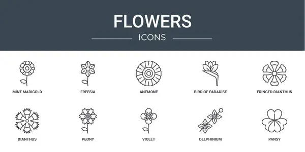 Σύνολο Περίγραμμα Web Flowers Εικόνες Όπως Μέντα Marigold Φρέζια Ανεμώνη — Διανυσματικό Αρχείο