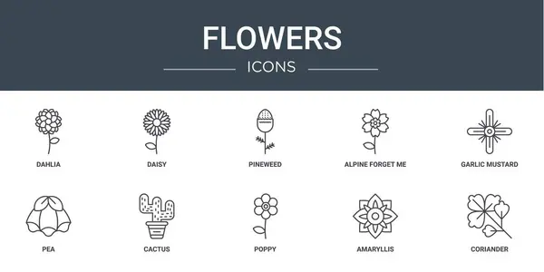 Készlet Vázlatos Web Virágok Ikonok Mint Dália Százszorszép Ananász Alpesi — Stock Vector