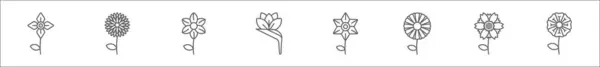 一串花线图标 线形病媒图标 如杜鹃 天堂鸟 角斗士 — 图库矢量图片