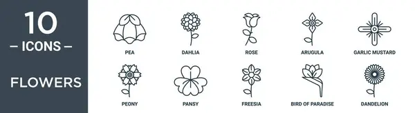 Σύνολο Εικονίδιο Περίγραμμα Λουλούδια Περιλαμβάνει Λεπτή Γραμμή Μπιζέλια Ντάλια Τριαντάφυλλο — Διανυσματικό Αρχείο