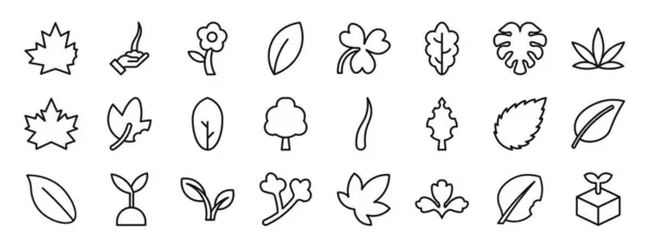 Σύνολο Περίγραμμα Εικονίδια Φύλλο Ιστού Όπως Φύλλα Βλαστός Λουλούδι Φύλλα — Διανυσματικό Αρχείο